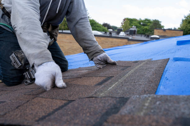 Best Metal Roofing Contractor  in Blanchard, OK